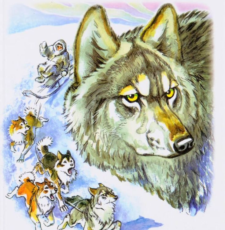 Драконов П.